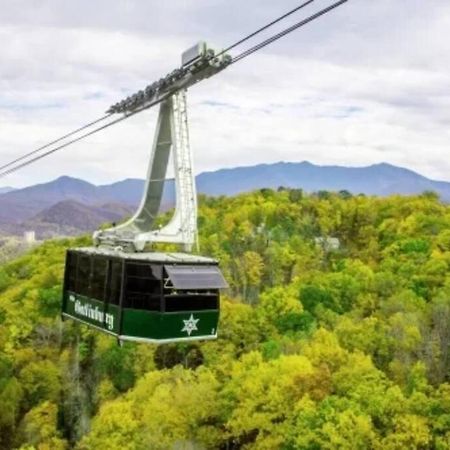 Вилла The Log Castle~Stunning Mountain Views~Hot Tub Севьервилл Экстерьер фото